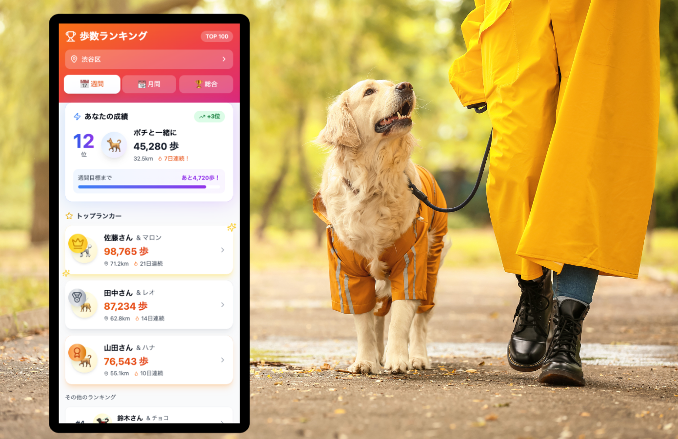 歩数ランキングで楽しく継続の画面
